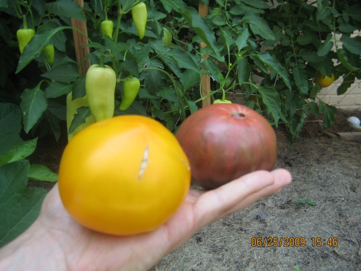 Atlanta assisted living