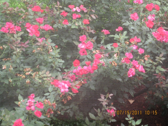 Atlanta assisted living