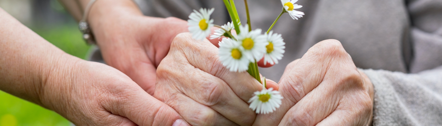 Elderly care - hands, bouquet